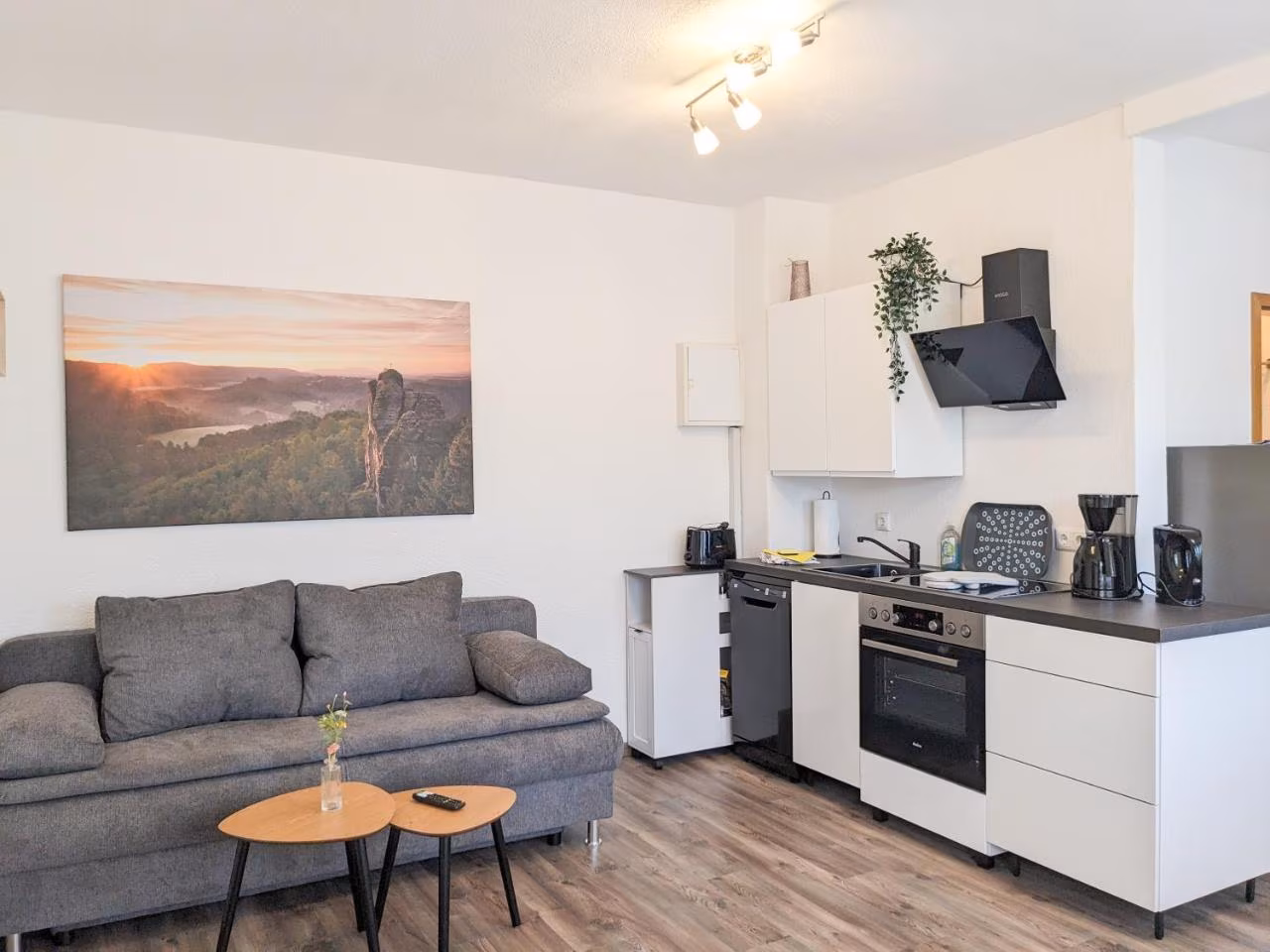 Apartment mit 1 Schlafzimmer
