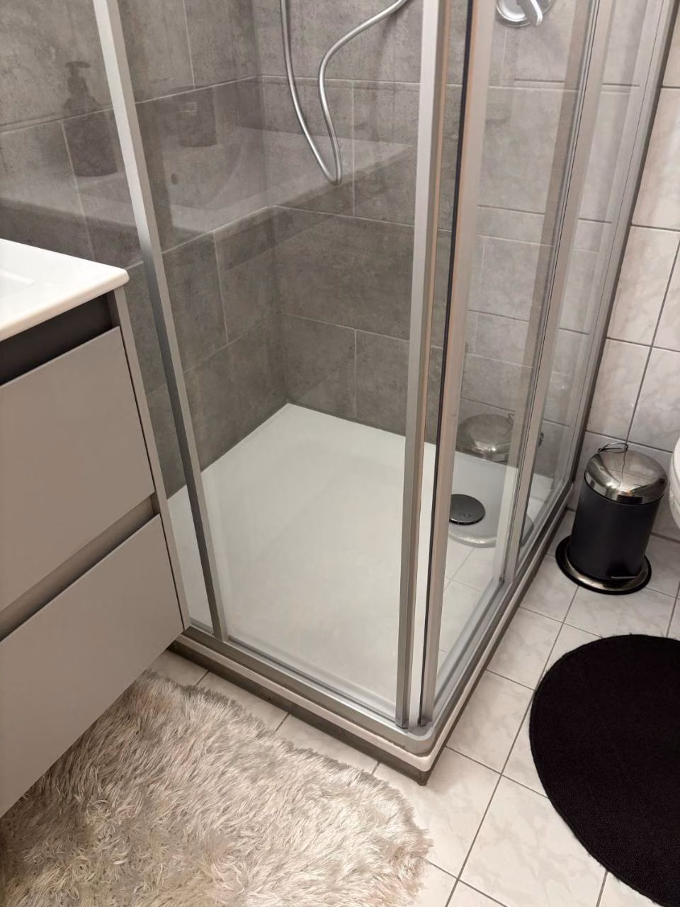 Apartment mit 1 Schlafzimmer