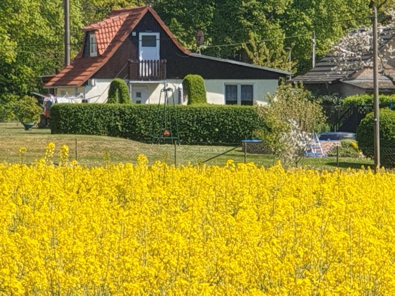 Bild der Unterkunft