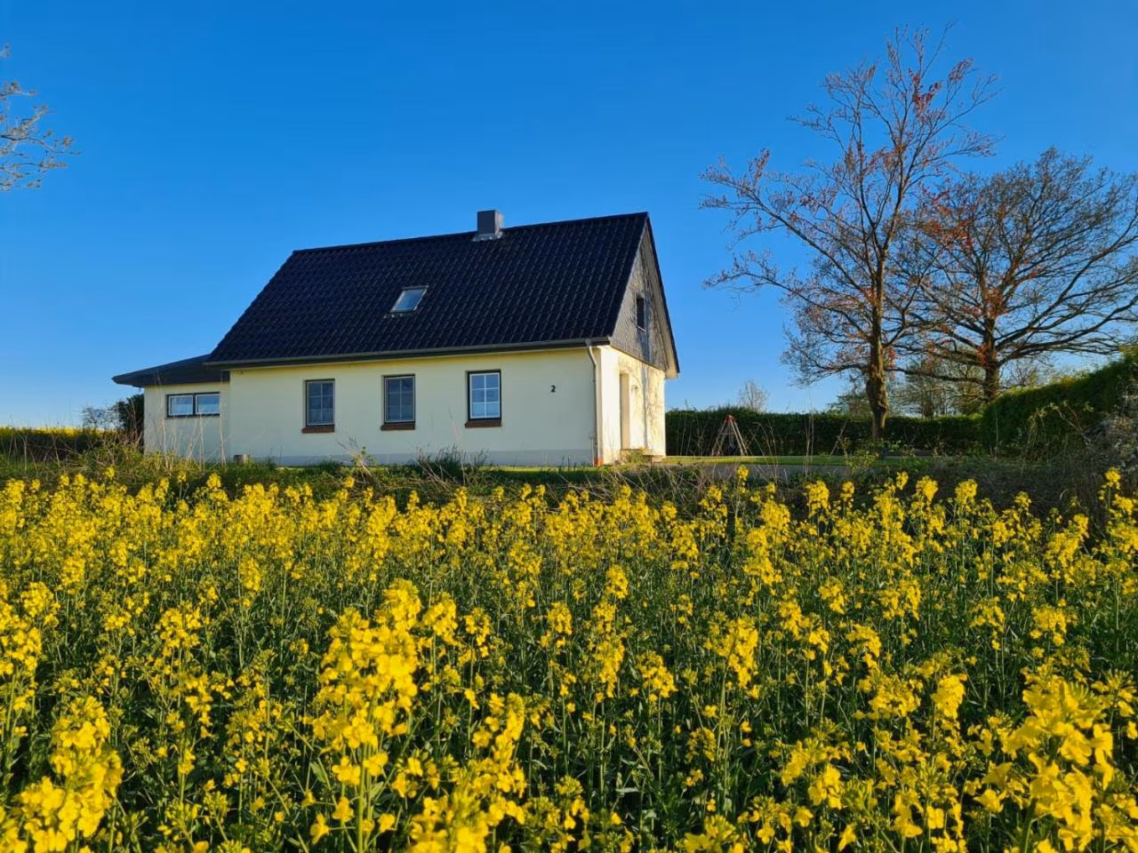 Bild der Unterkunft