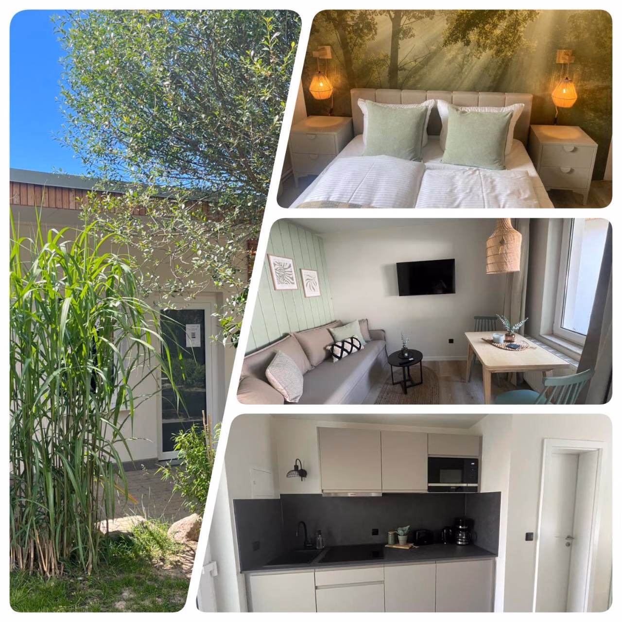 Apartment mit 1 Schlafzimmer