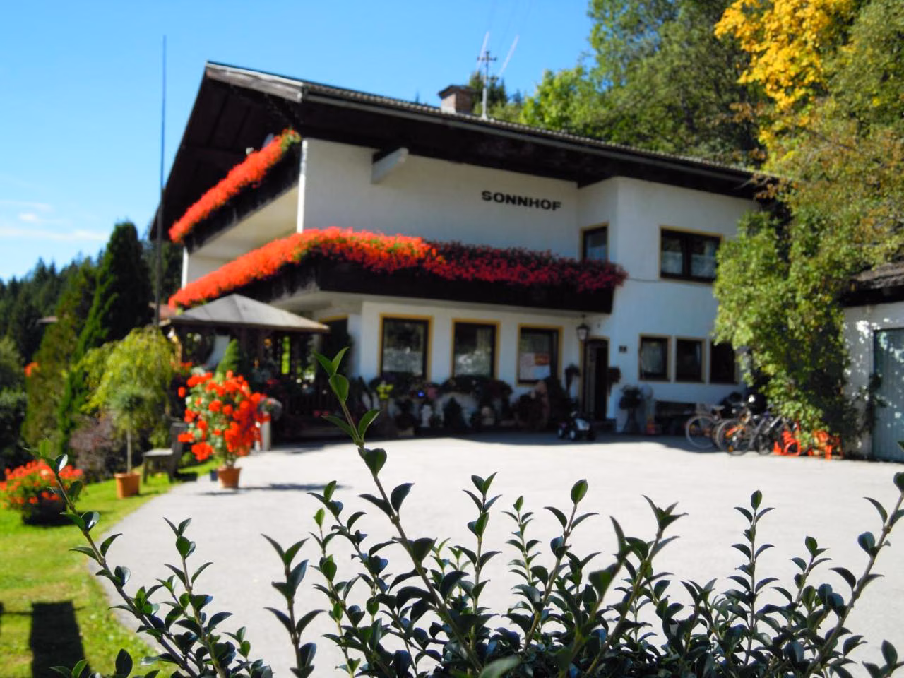 Bild der Unterkunft
