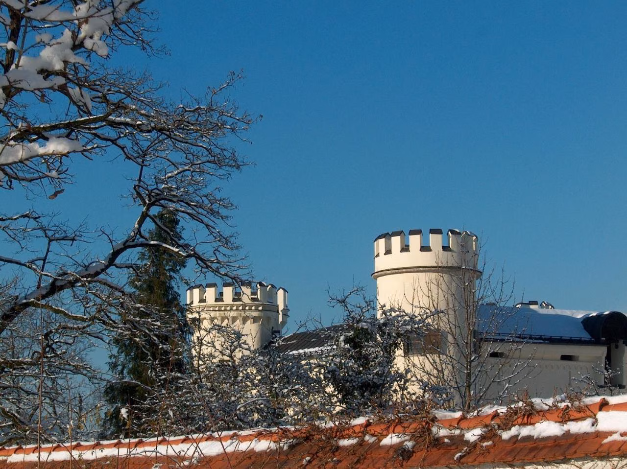 Bild der Unterkunft