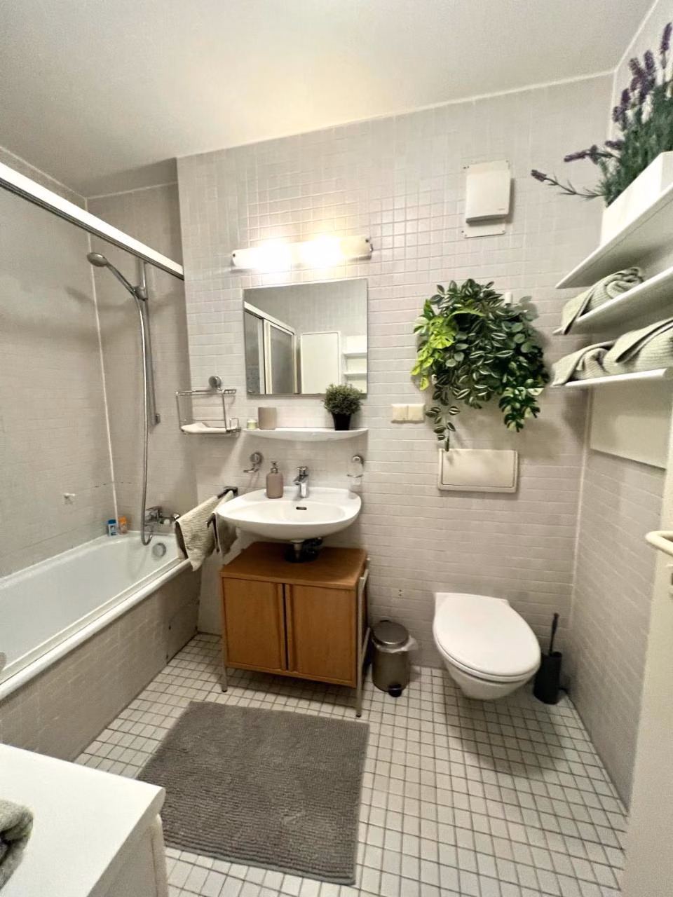 Apartment mit 1 Schlafzimmer
