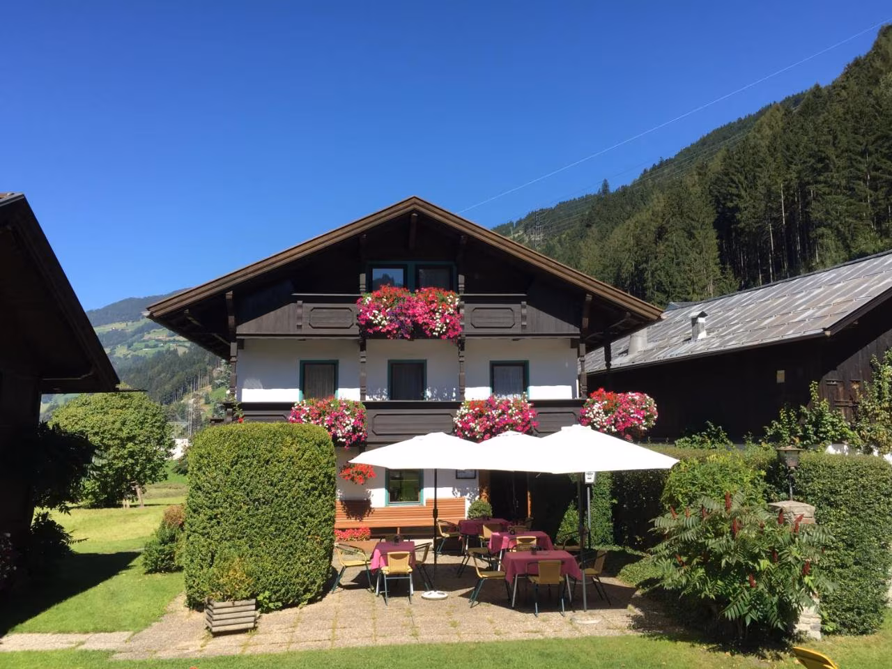 Bild der Unterkunft