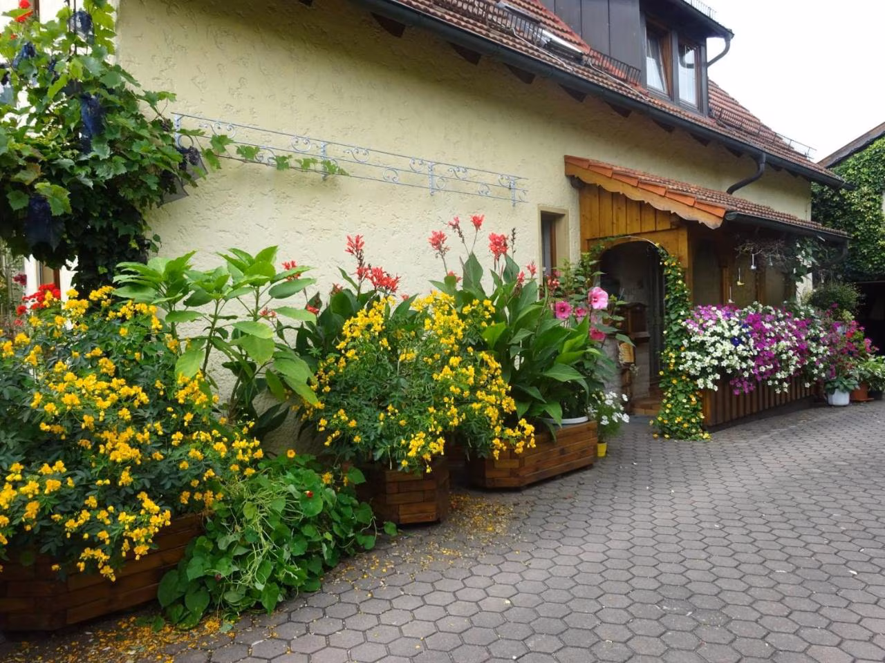 Bild der Unterkunft
