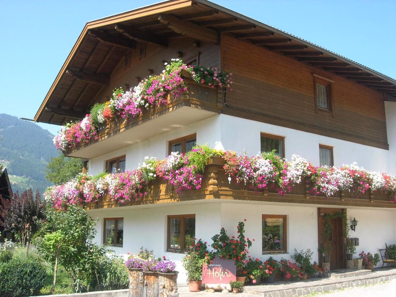 Bild der Unterkunft