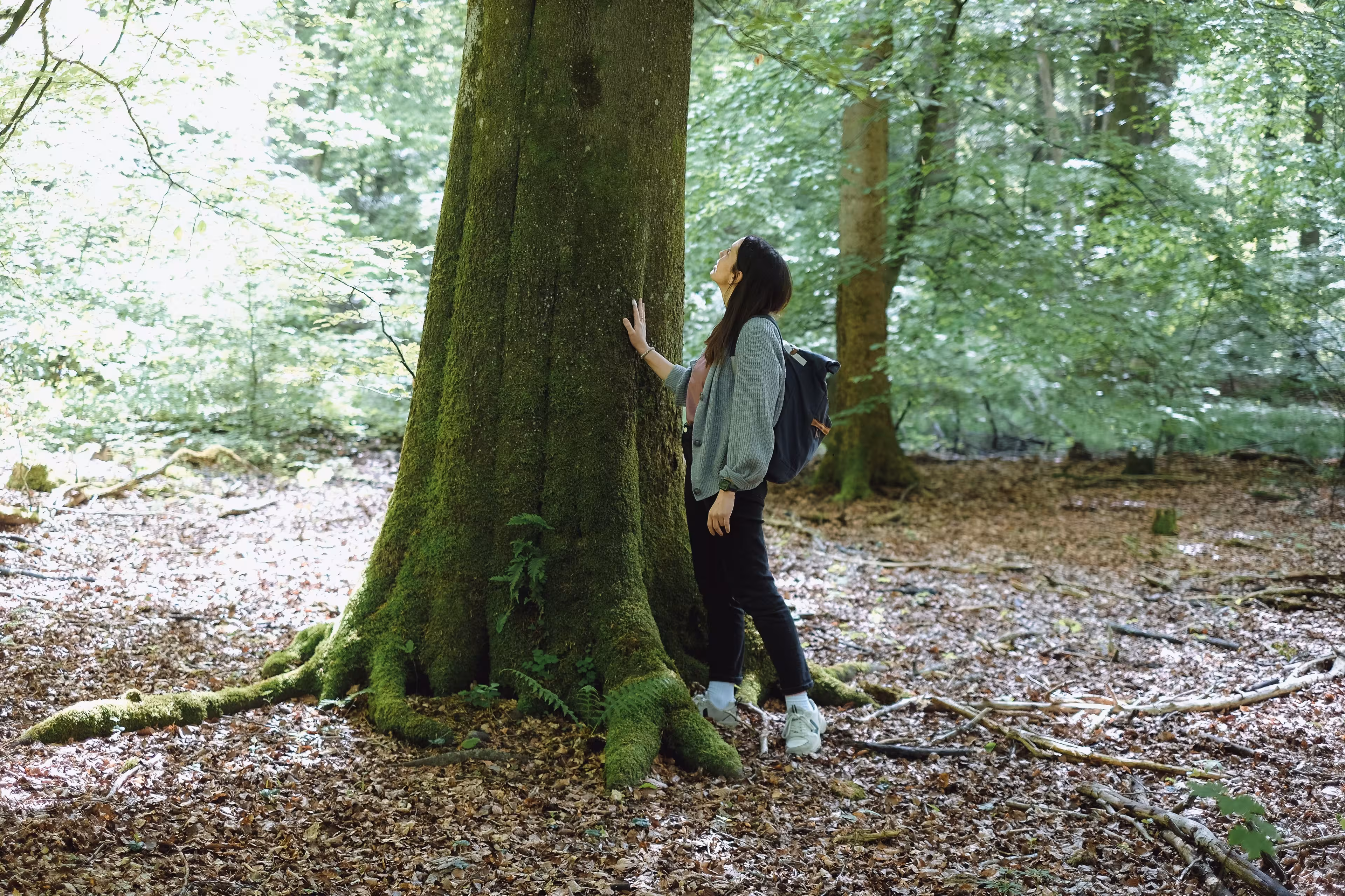 Eine Frau berührt legt beim Waldbaden die Hand an einen Baumstamm