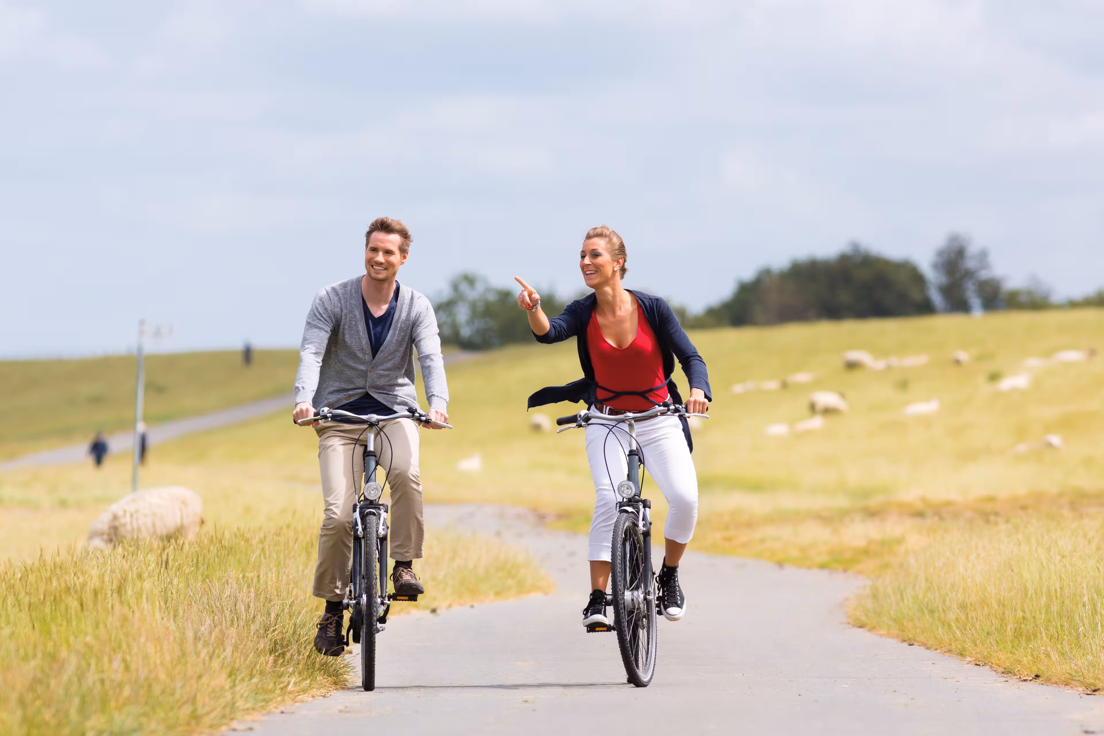 Ein Mann und eine Frau fahren auf Fahrrädern durch eine flache Landschaft mit Schafen