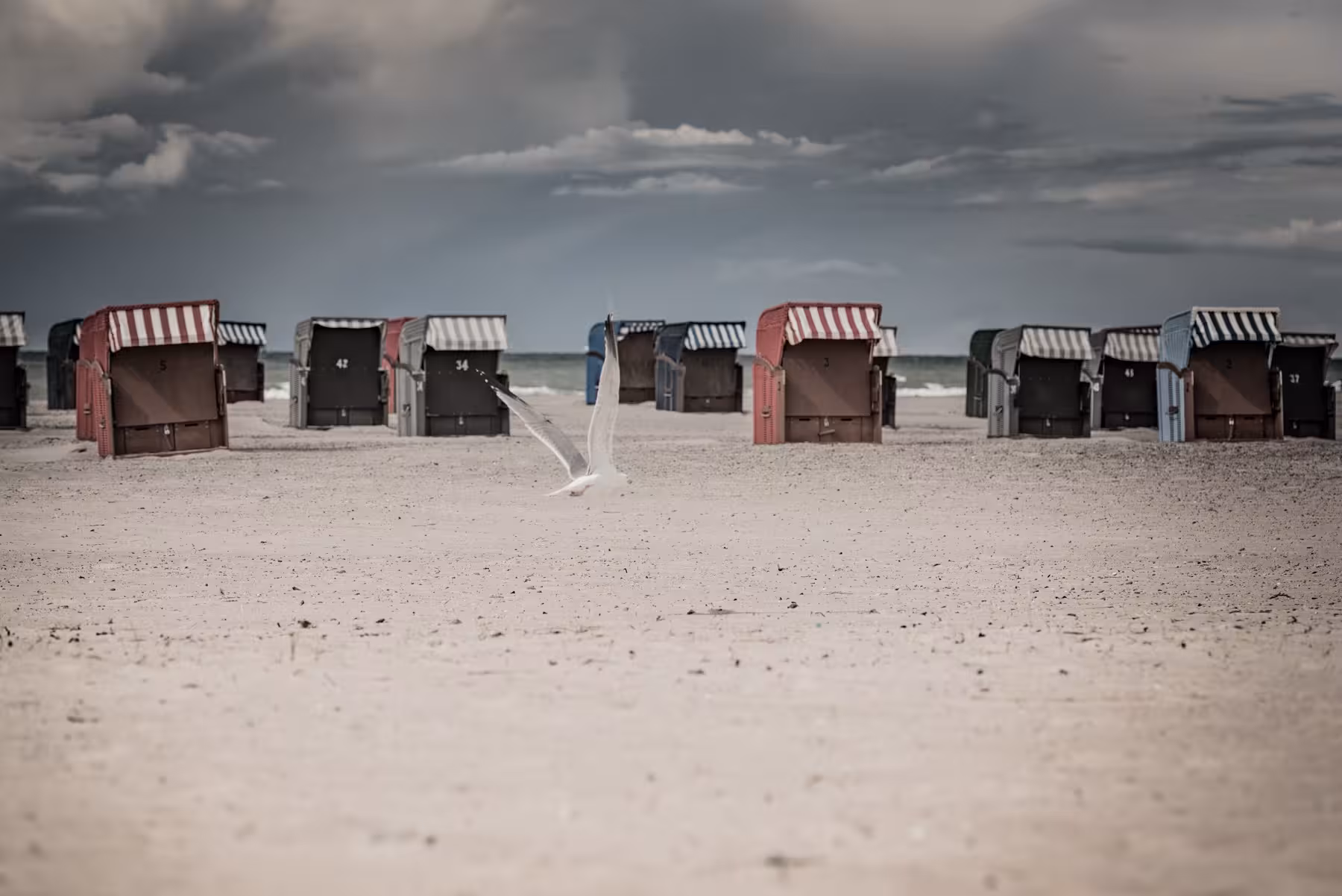 Strandkörbe in Warnemünde