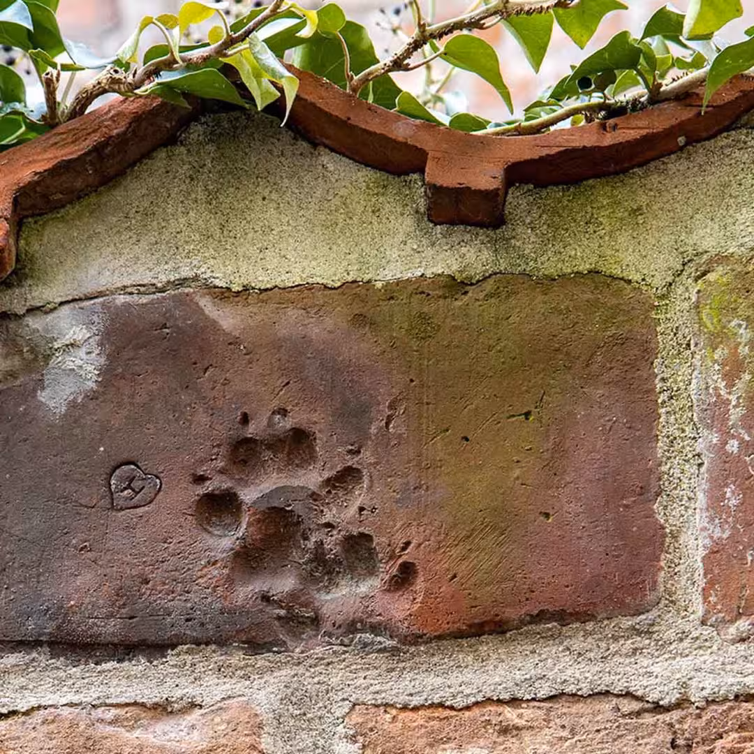 Alte Backsteinmauer mit eingedrücktem Pfotenabdruck und kleinem Herz – ein verborgenes Detail in Lübeck.