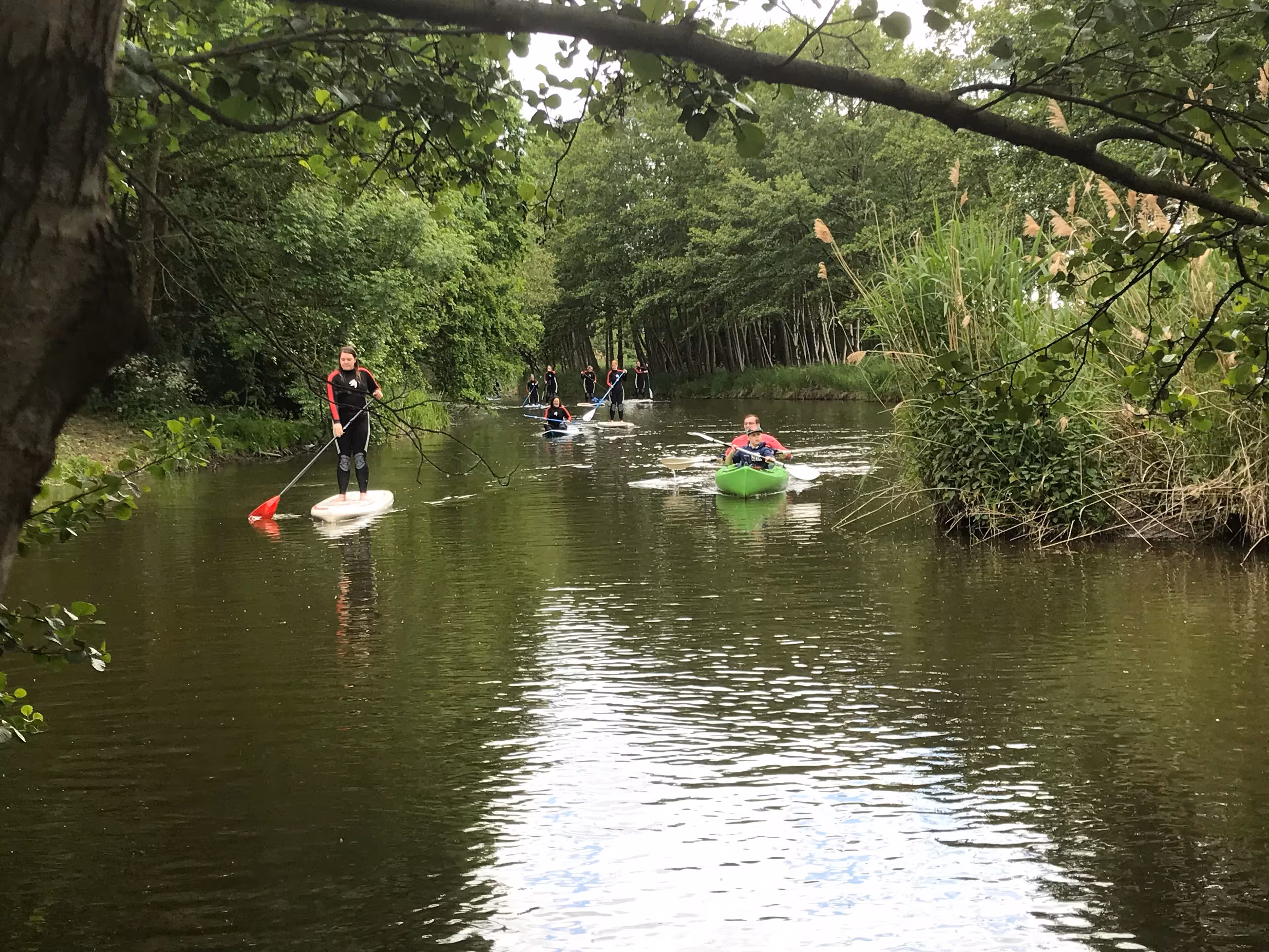 Eine Gruppe bei einer SUP-Tour im Dümmer Weserland