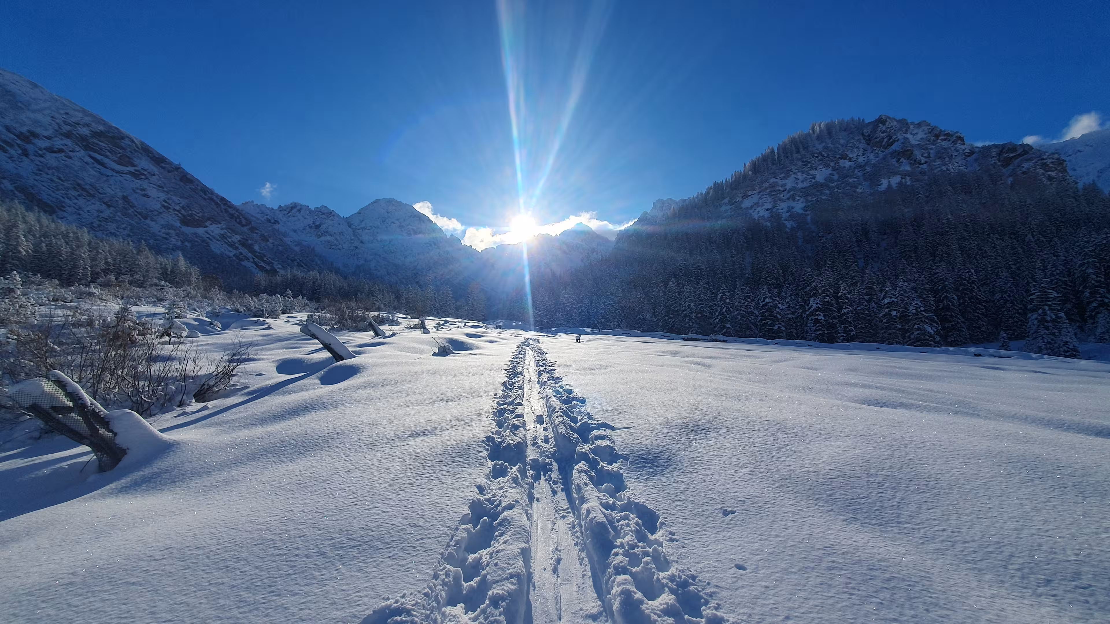 Eine verschneite Landschaft in den Alpen