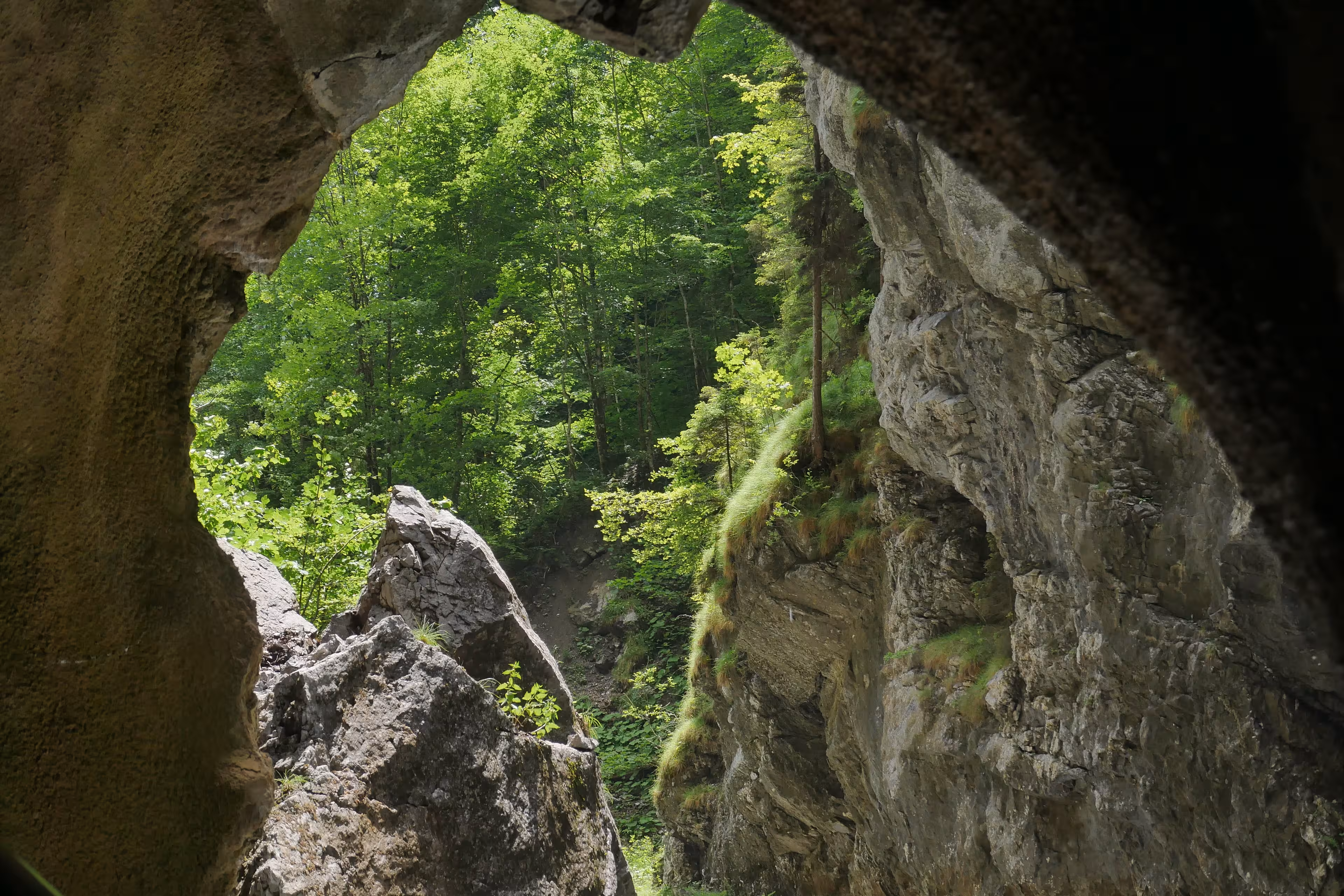 Blick aus der Partnachklamm