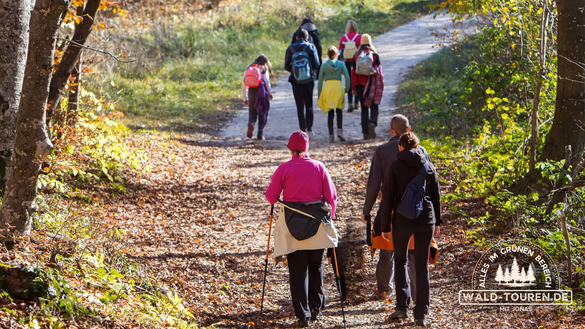 Teilnehmende einer Waldführung in der Haard in Haltern am See gehen durch den Wald