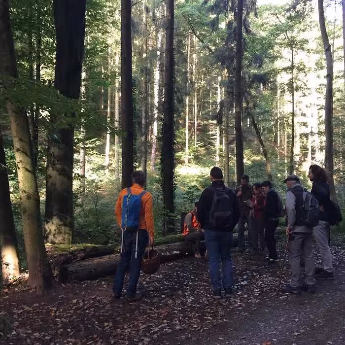 Ein Guide steht während einer Pilzwanderung mit einer Gruppe im Wald.