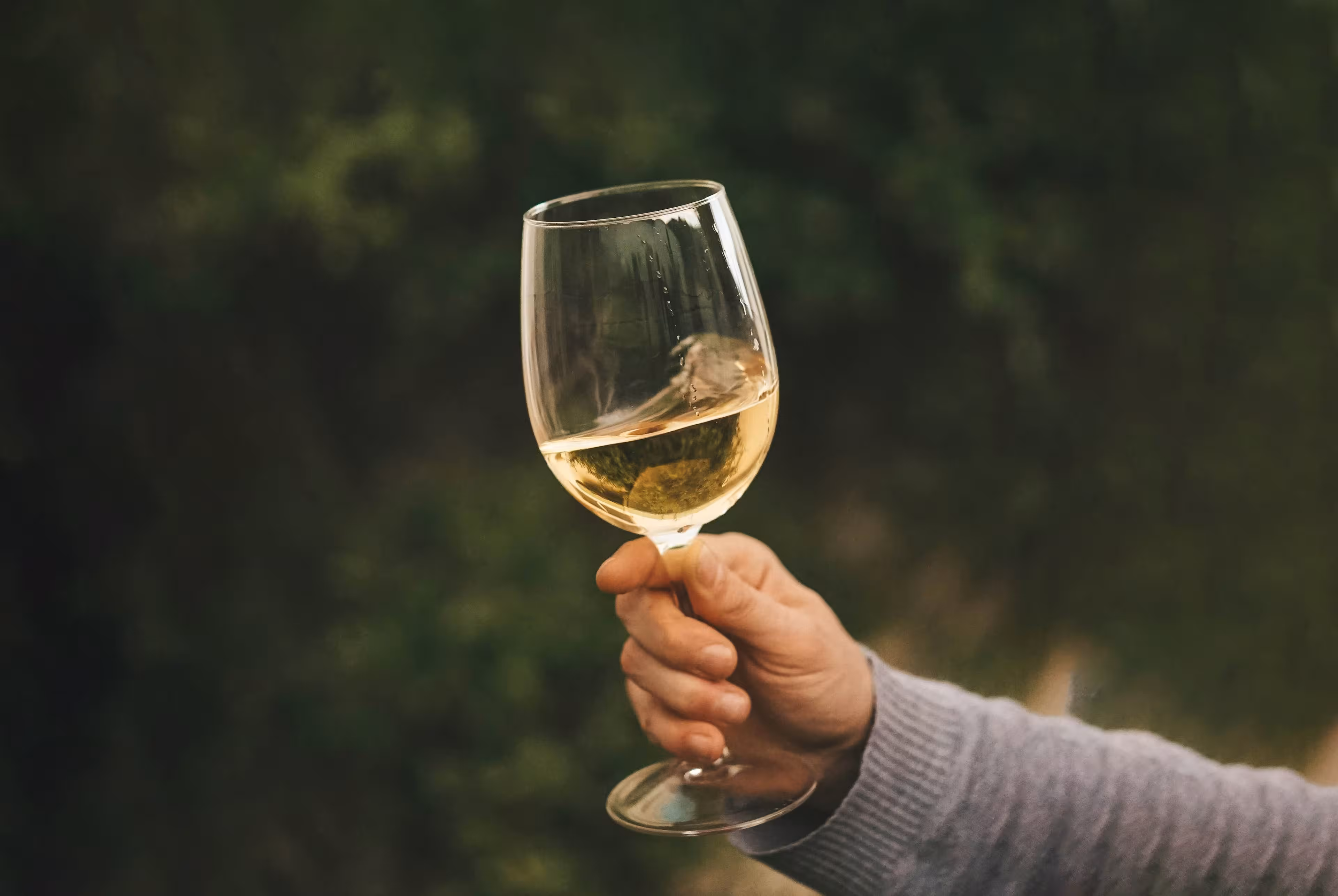 Hand mit Weißwein im Glas