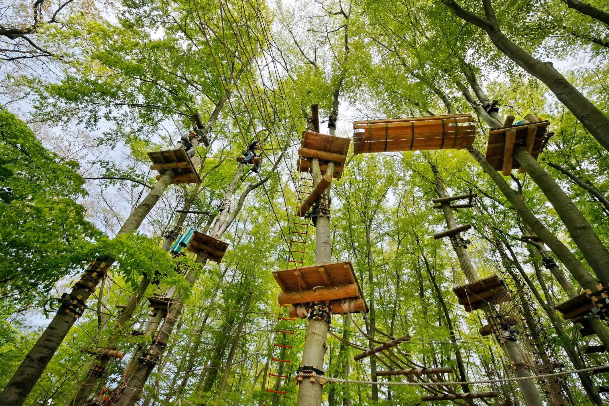 Plattformen in den Bäumen im KletterPark Potsdam