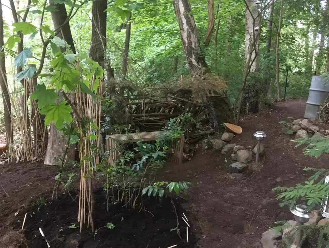 Wald und eine Bank vor dem Bungalow