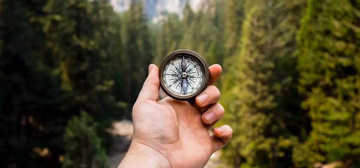Eine Hand hält einen Kompass mit Wald im Hintergrund