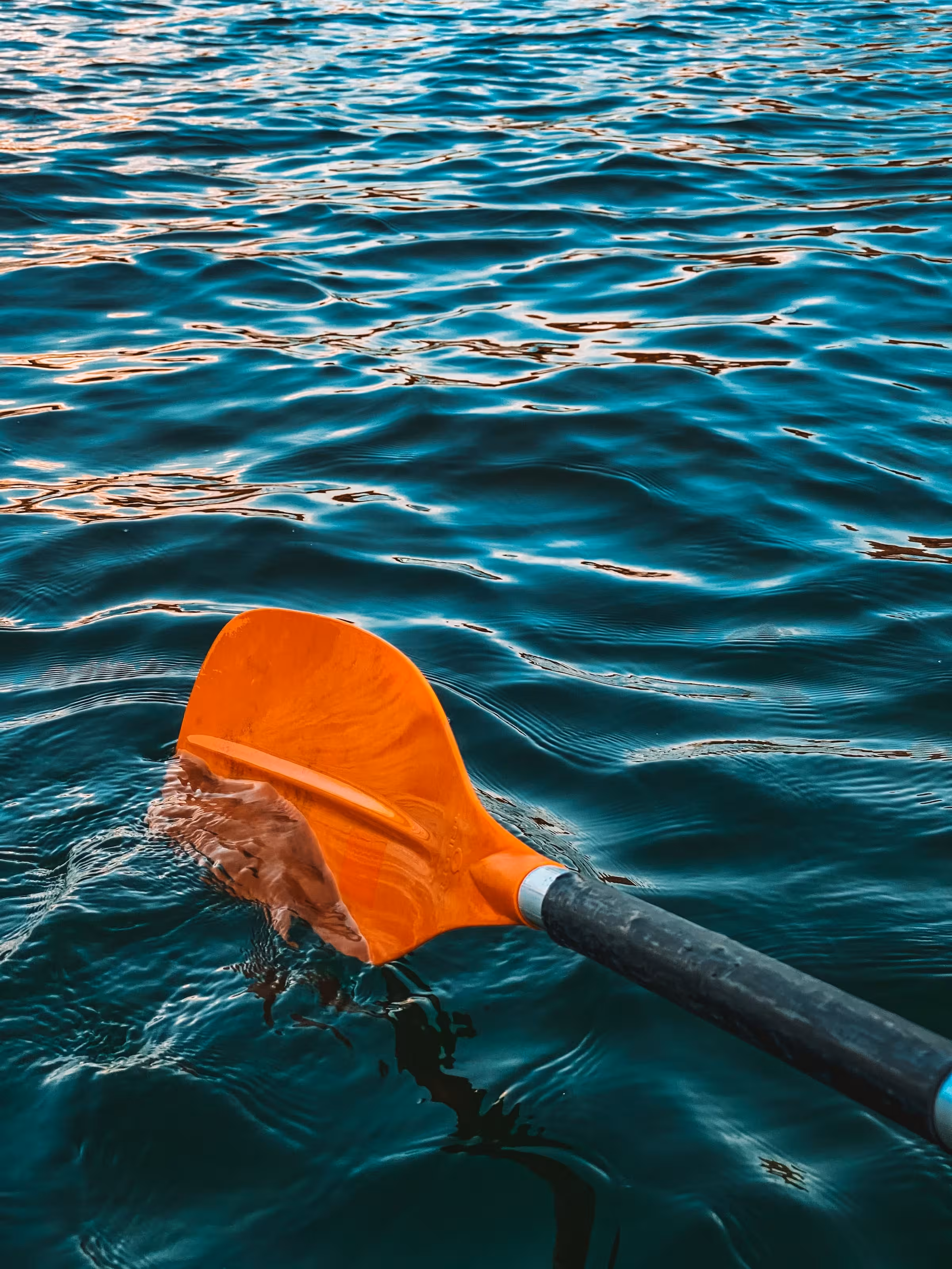 Ein orangefarbenes Paddel ist ein Stück ins Wasser eingetaucht