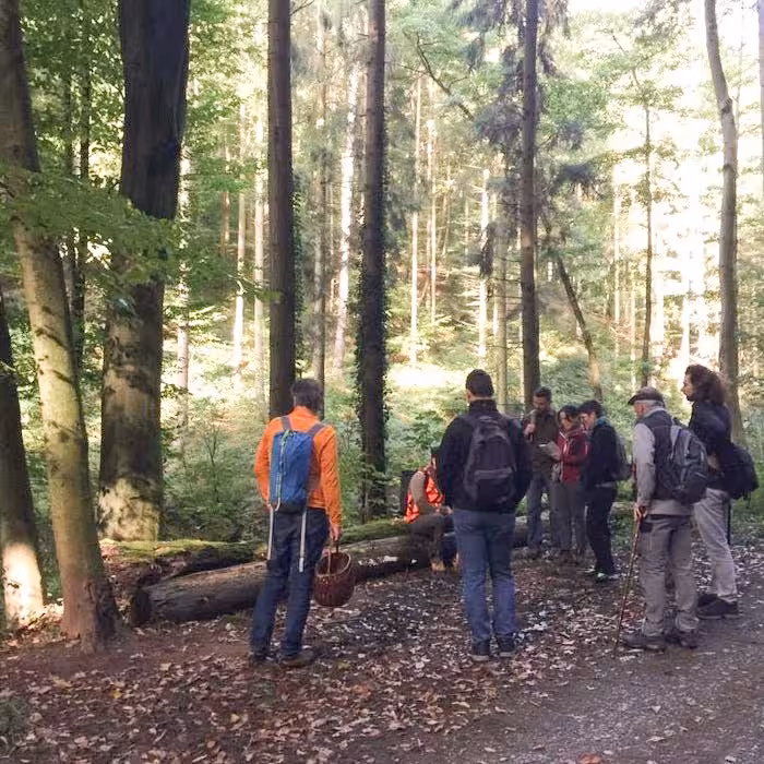 Eine Gruppe Menschen bei einer Pilzwanderung
