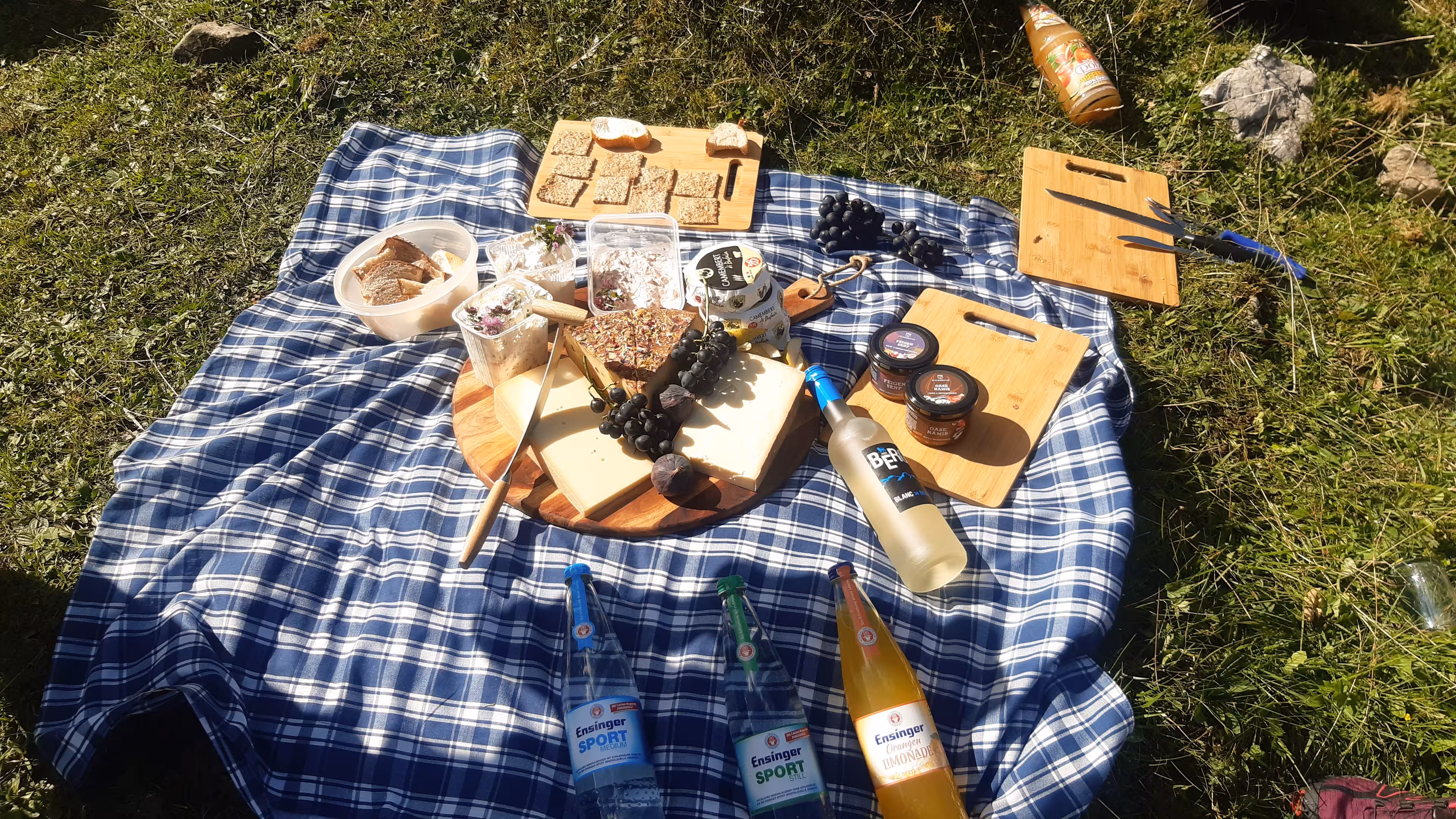 Picknickdecke mit Wein, Käse und Limonade auf einer Wiese bei der Käseverkostung auf der Alm