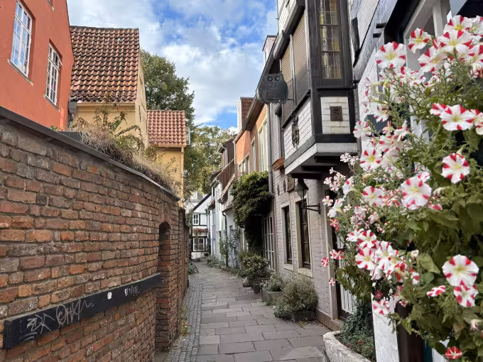 Magical Schnoor quarter (for groups)