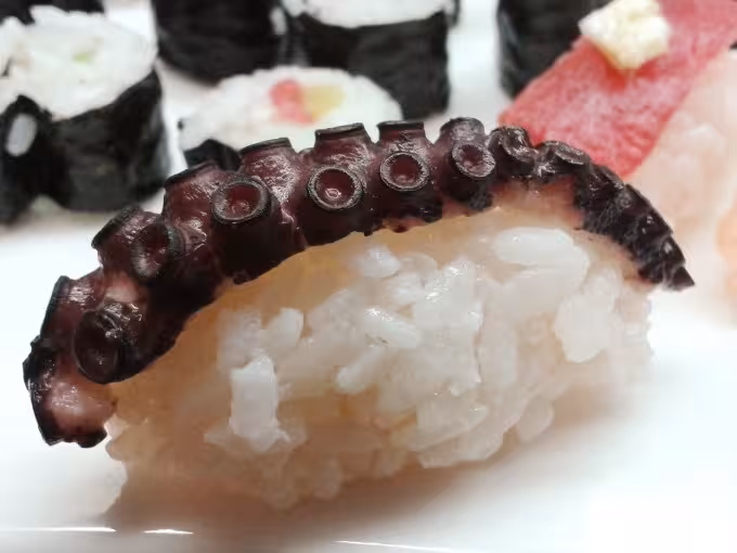 Sushi selbst rollen – Dein japanischer Kochkurs zum Mitmachen in der Kochschule Sonja Lenz in Stuttgart-Hedelfingen