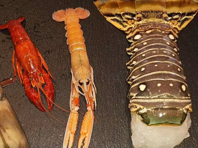 Feine Meeresküche, locker gekocht: Dein Fisch & Seafood Kochkurs in der Kochschule Sonja Lenz in Stuttgart-Hedelfingen