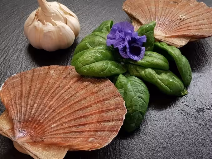 Feine Meeresküche, locker gekocht: Dein Fisch & Seafood Kochkurs in der Kochschule Sonja Lenz in Stuttgart-Hedelfingen