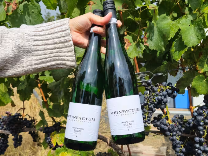 Weinsafari
