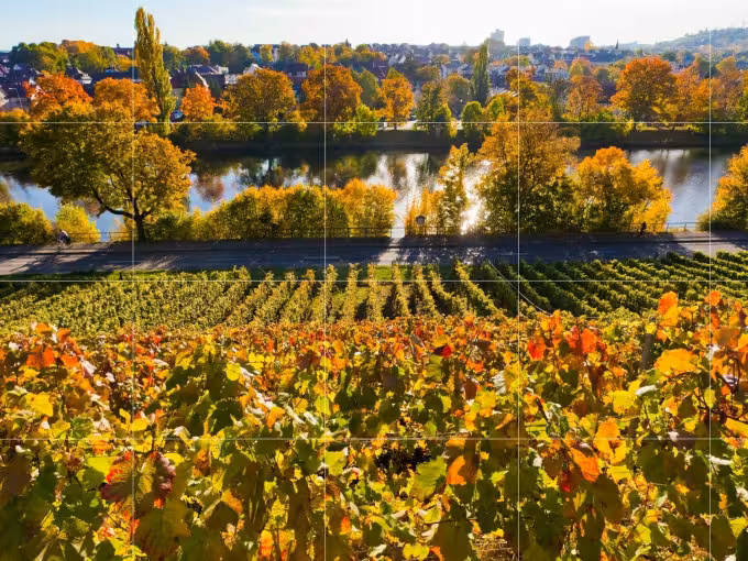Weinsafari für Gruppen