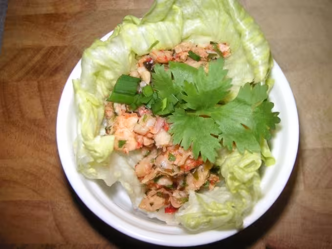 DIM SUM - Asiatisches Fingerfood, gewickelt und gerollt