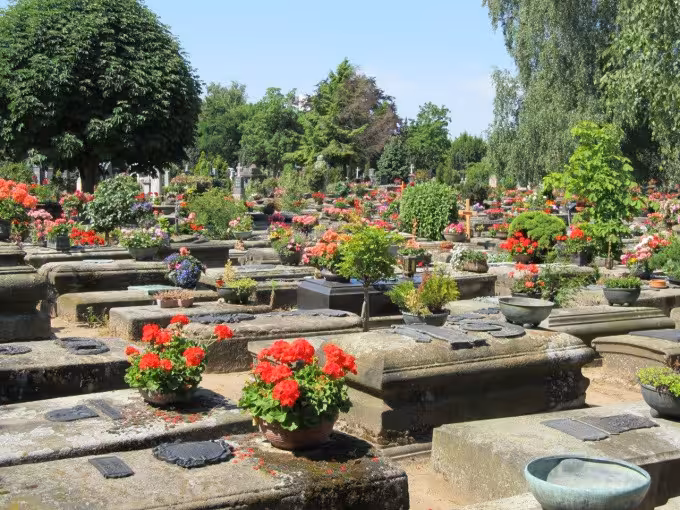 Der St. Johannisfriedhof und die Hesperidengärten