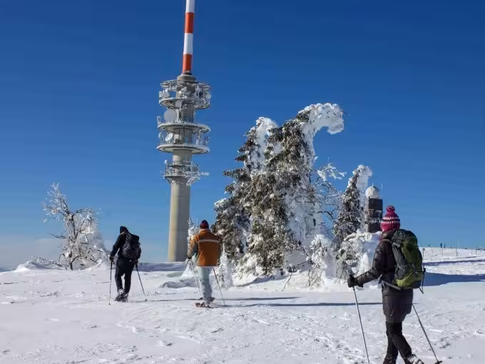 geführte Schneeschuhwanderung am Feldberg