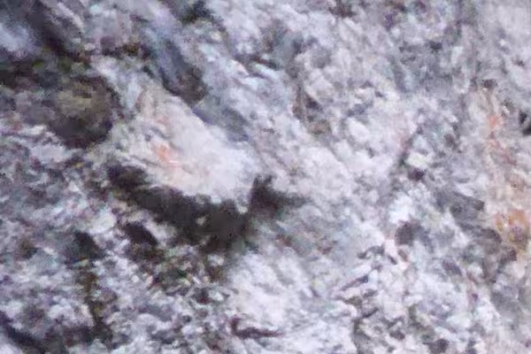 beeindruckende Felsen