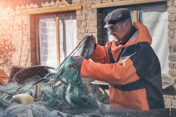 Fischer beim Hering pulen