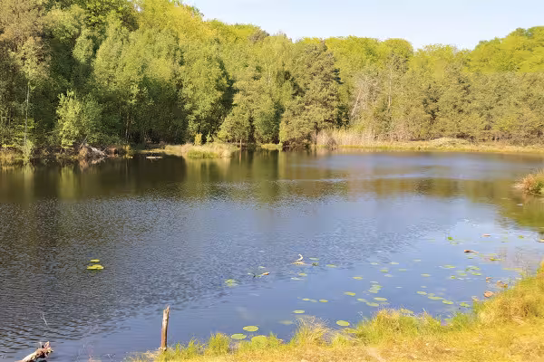 Mümmelkensee