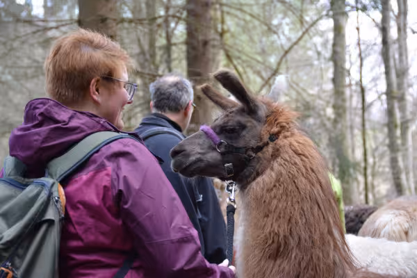 Bei so einer Lama-Wanderung entstehen Freundschaften zwischen Mensch und Lama ;-)