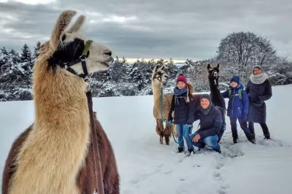 Lamawanderung mit Familie im Schnee