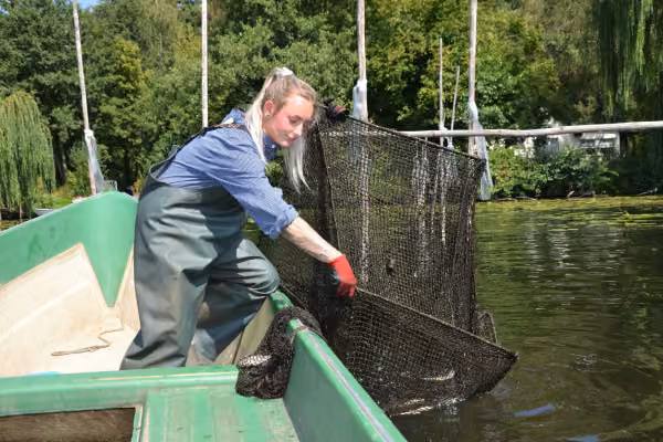 Fischerin Maria Thamm beim Einholen der Reusen