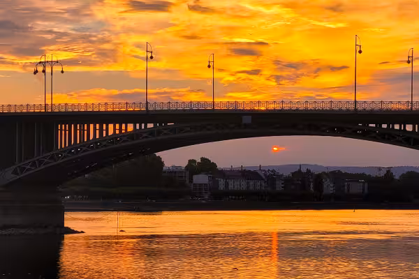 Mainz Stadtführung Theodor-Heuss-Brücke WineWalk