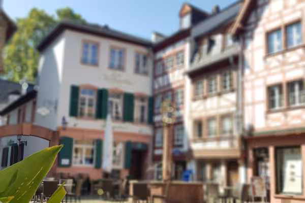 Kirschgarten mit dem Kirschgartenbrunnen
