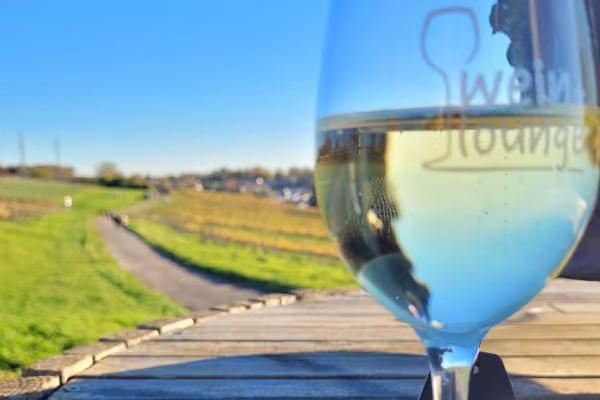 Weintour Weinbergstour Weinbergswanderung mit einem Glas Wein