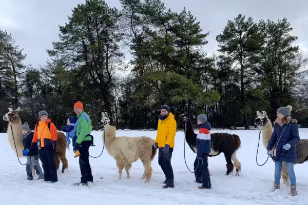 Lamawanderung im Schnee mit der ganzen Familie