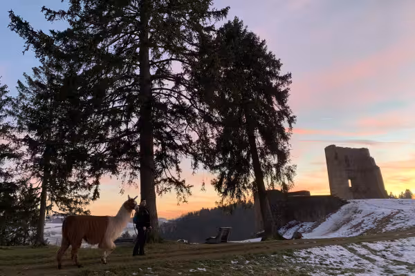 Glühweinwanderung zur Burgruine Schönecken