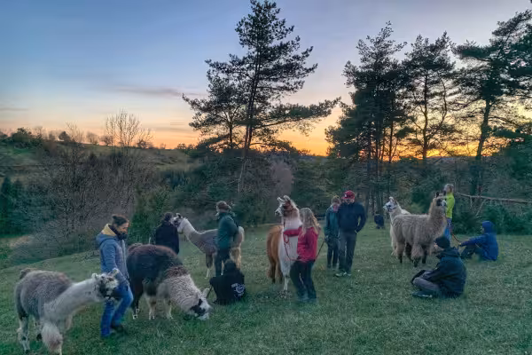 Sommersonnenwende Wanderung mit Lamas