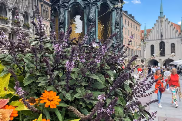 Marienplatz