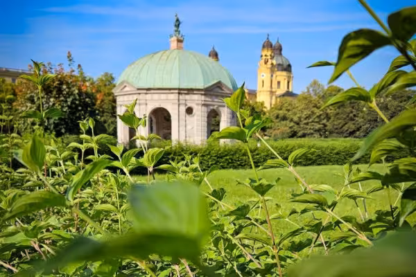 Hofgarten mit Theatinerkirche